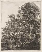 TvB G 3431
<br/>
Een smalle brug over een riviertje
<br/>
<em>Waterloo, Anthonie, (1609-1690)</em>